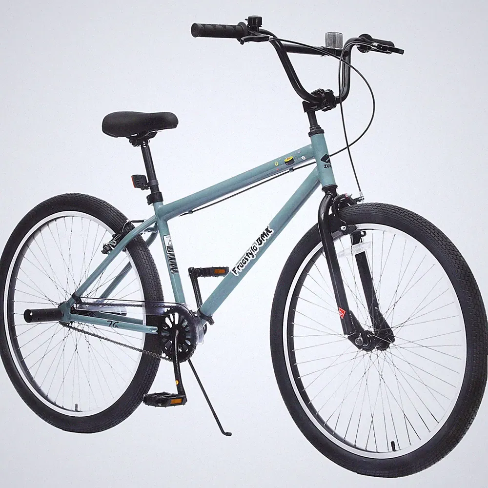 26 Inch Freestyle Bike Steel Frame Single-Speed Bicycle for Boys Girls Ages 14+